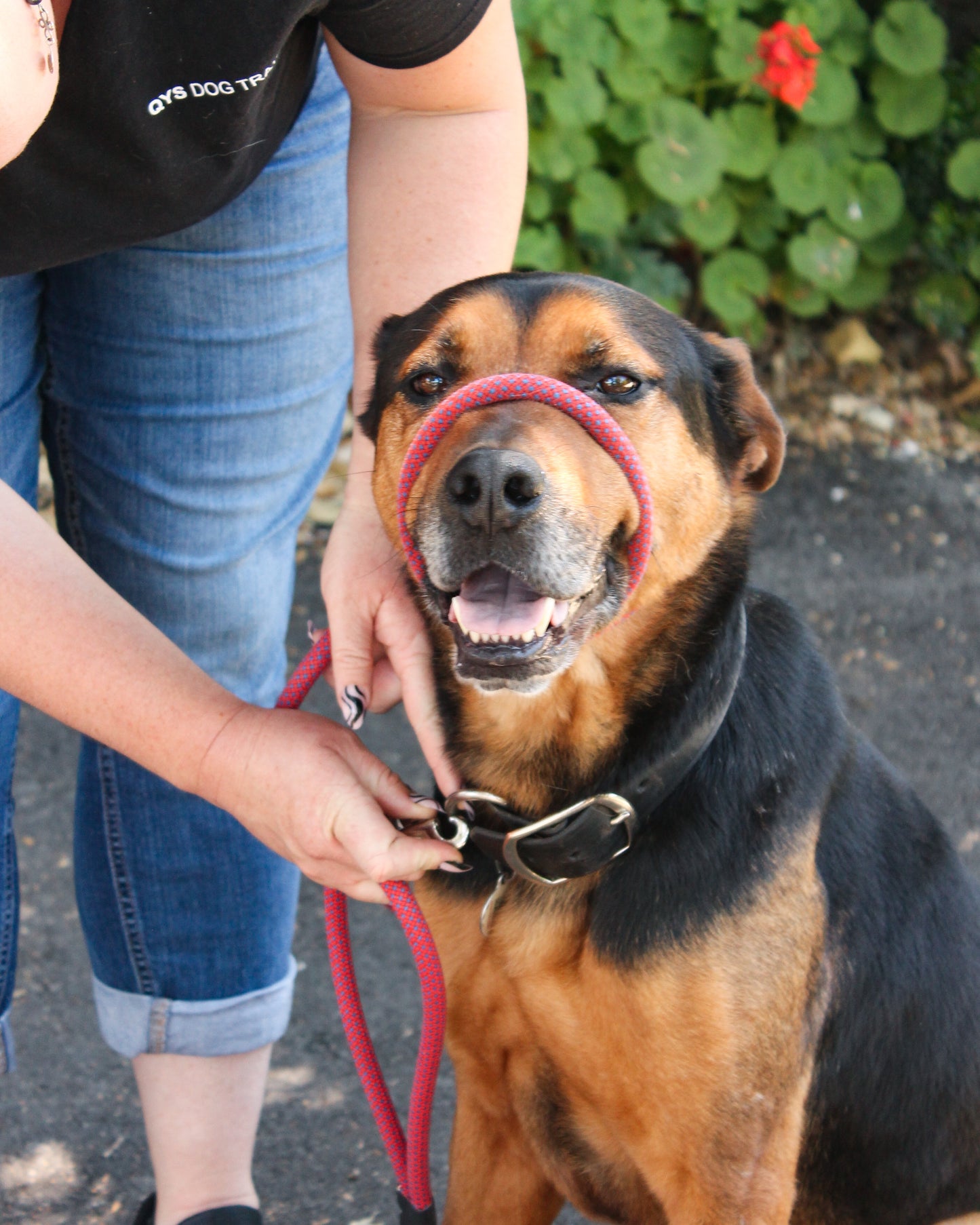 Recycled Climbing Rope Leash