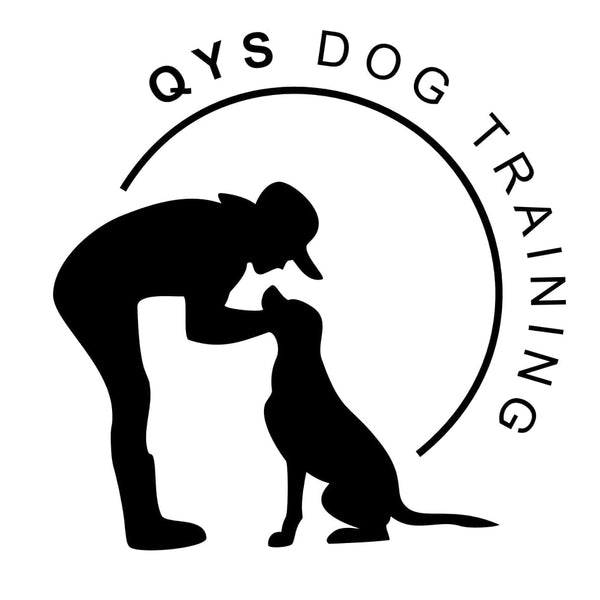 QYS Dog Gear